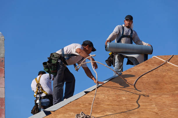 Best Gutter Installation and Roofing  in Ben Wheeler, TX