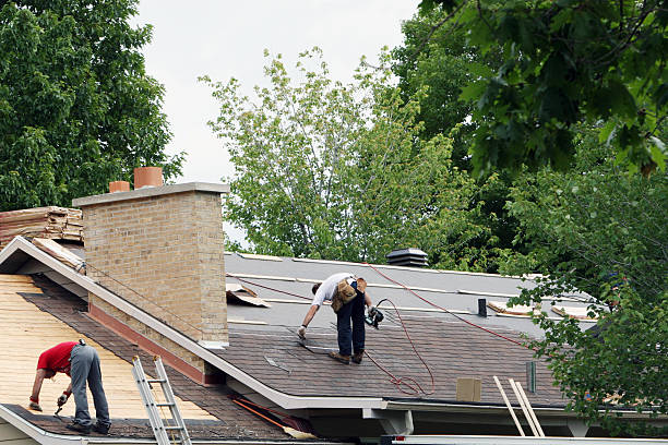 Best Roof Gutter Cleaning  in Ben Wheeler, TX