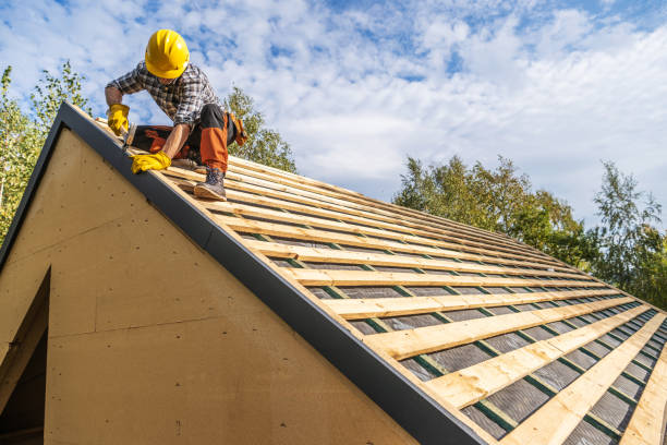 Best Roof Repair Services  in Ben Wheeler, TX